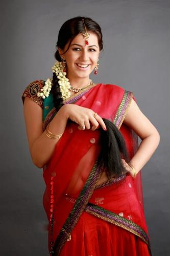 Nikkitha Galrani Malayalam Film Actress - Profile, Biography and Upcoming Movies
