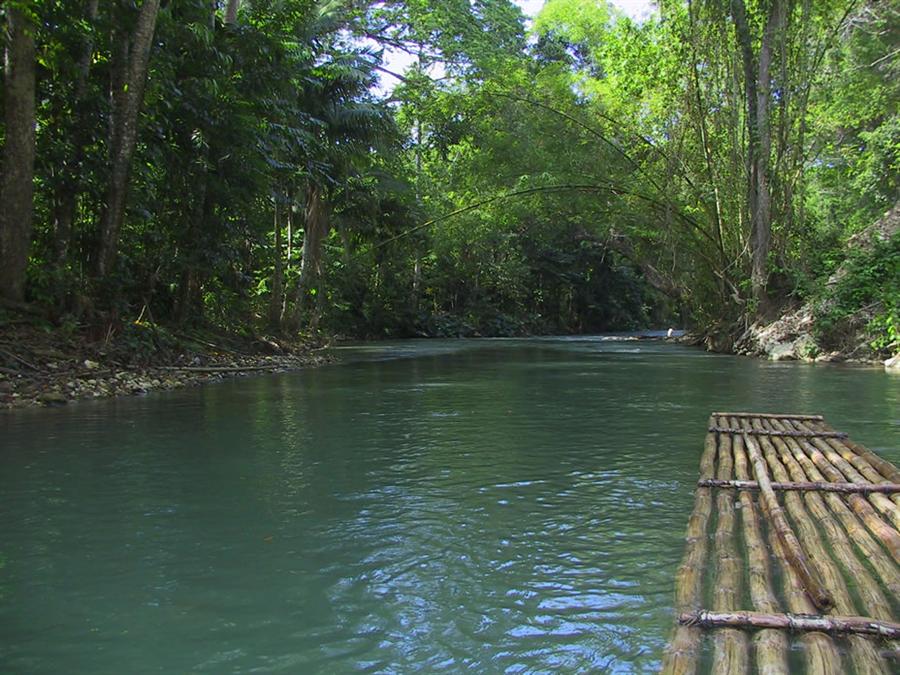 Periyar Wildlife Sanctuary Bamboo rafting