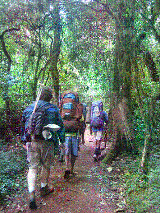 Trekking in Kerala