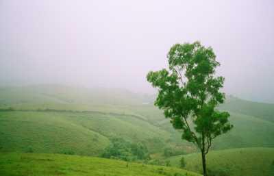 vagamon