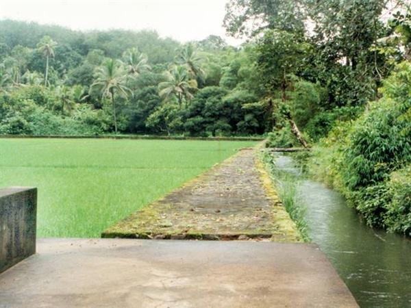  View of the Kalaketty Estate