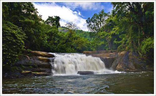 Thommankuthu Waterfalls