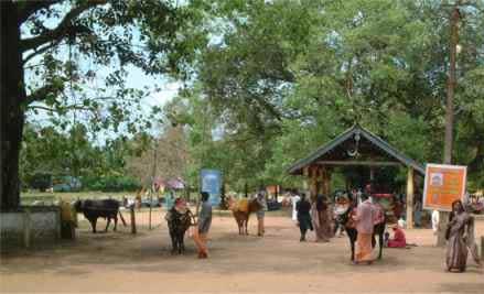 Aal Thara of the Oachira temple in Kollam