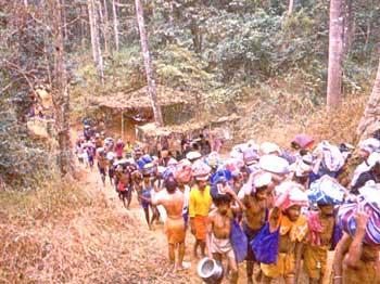  The trek of the Ayyappas to Sabarimala