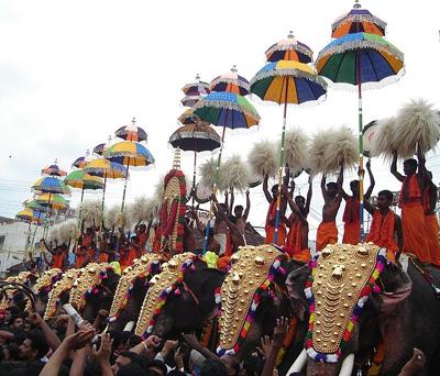 Elephants decorated and lined-up