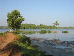 Backwaters in Ponnumthuruthu island