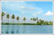 Backwaters in Kumbalangi