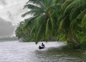 Backwaters in Valiyaparamba