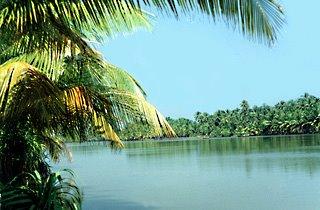 Backwaters in Chithari