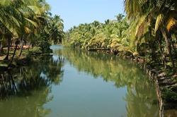 Backwaters in Padanna