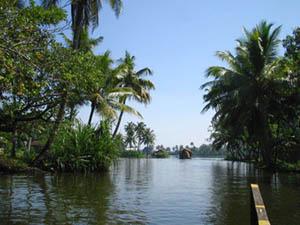 Backwaters in Thiruvallam