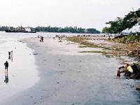 Fort kochi beach