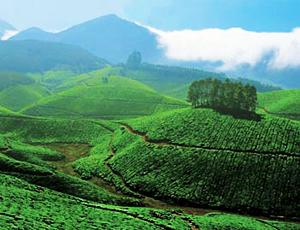 Munnar