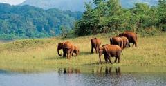 Periyar National Park