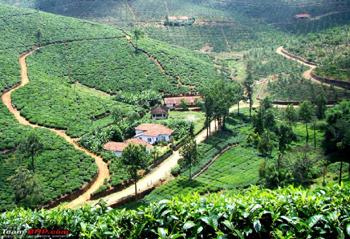 Vagamon