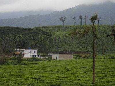 Kottancheri Hills- Tourist Place in Kasargod