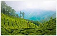 Munnar