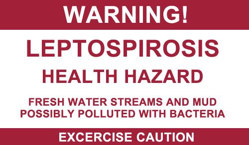 Leptospirosis