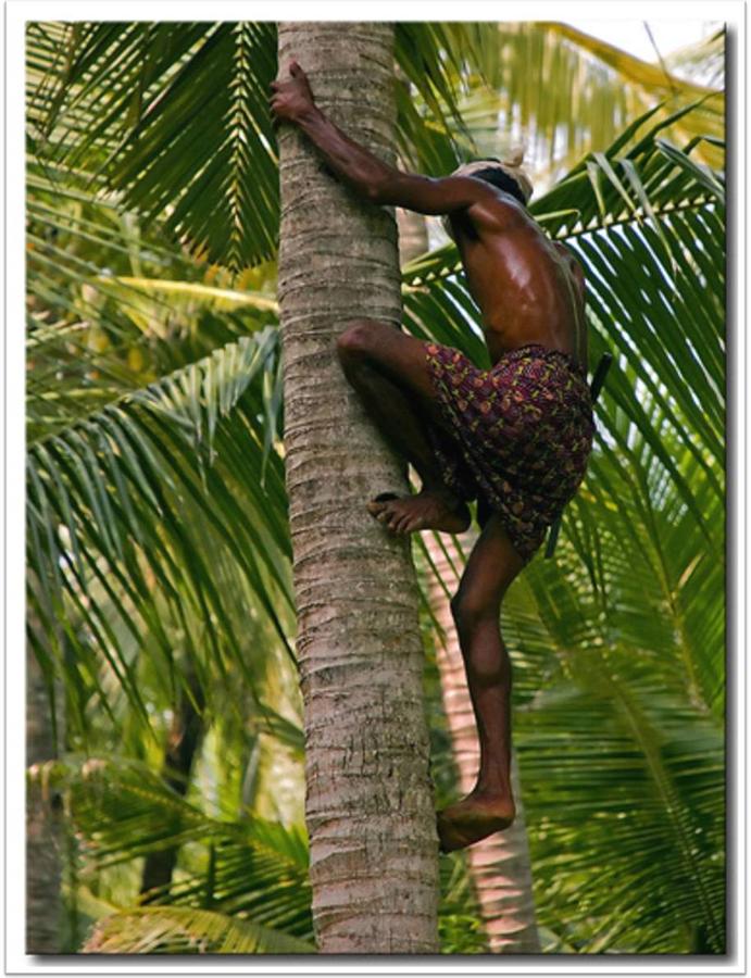 KERALA DURING RAINS 