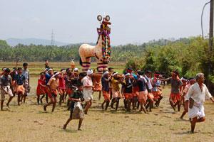 Decorated Horse - Mamangam 